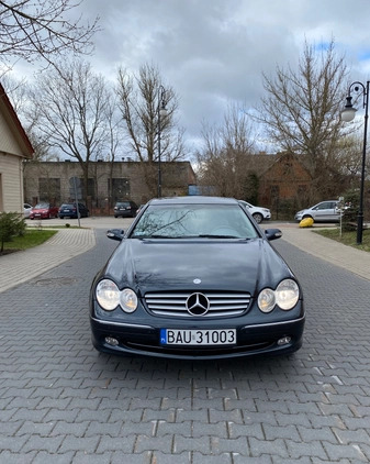 Mercedes-Benz CLK cena 22900 przebieg: 207000, rok produkcji 2002 z Białystok małe 121